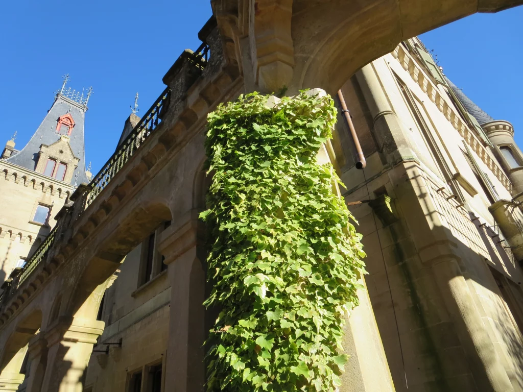 Mehrere restaurierte Torbögen, welche von grünen Ranken bewachsen sind, werden abgebildet.