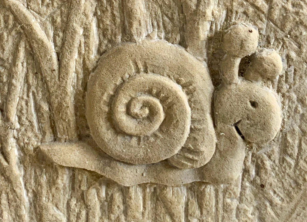 Detailaufnahme eines Schnecken Motivs auf einem Grabstein.